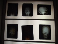 /album/galeria-de-fotos-museu-da-loucura/dscf0051-jpg/