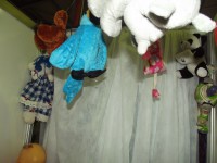 /album/galeria-de-fotos%3a-circuito-acad%c3%aamico-1-2014/dscf0011-jpg/